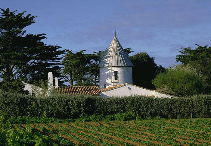 Moulin sud vu depuis le nord