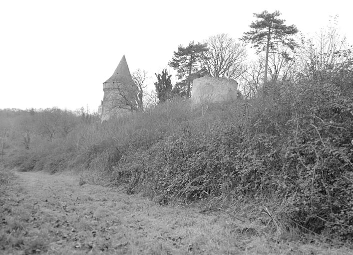 Le donjon et la fuie, vue prise de l'est.