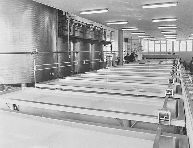 Atelier de fabrication des fromages : cuves de coagulation (photographie des années 1950).