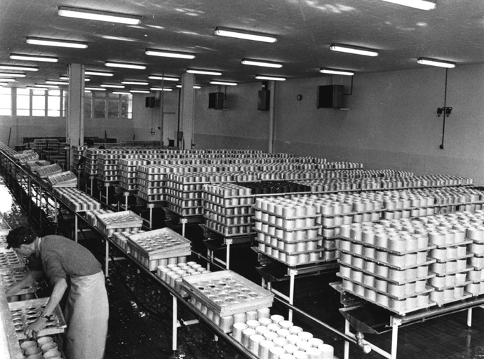 Salle d'affinage des fromages (photographie des années 1950).