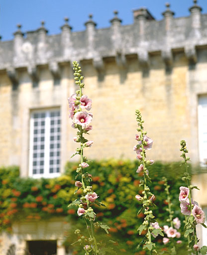 Logis, corps central, élévation antérieure, détail.