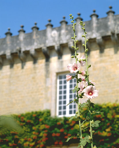 Logis, corps central, élévation antérieure, détail.