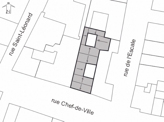 Plan masse, plan schématique des toitures.
