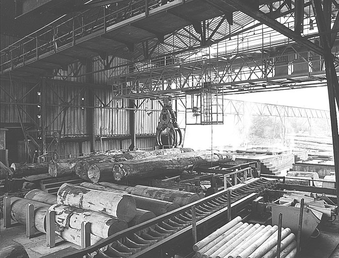 Intérieur du hangar de sciage : étuves à l'arrière plan et pont roulant.