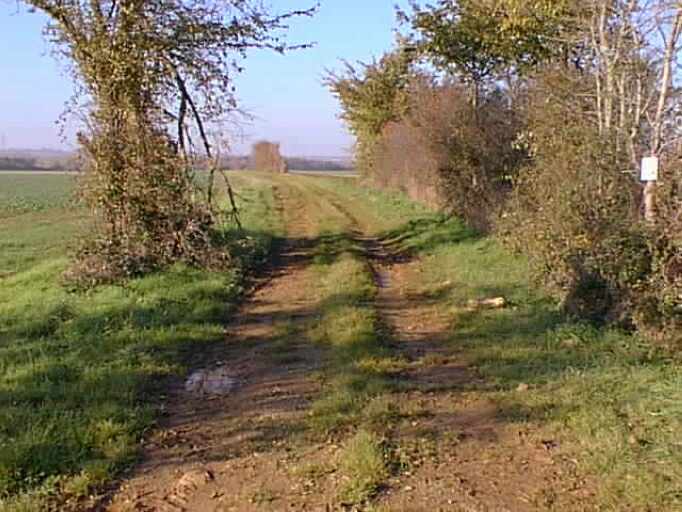 Ancien chemin rochelais faisant la limite sud de la commune.