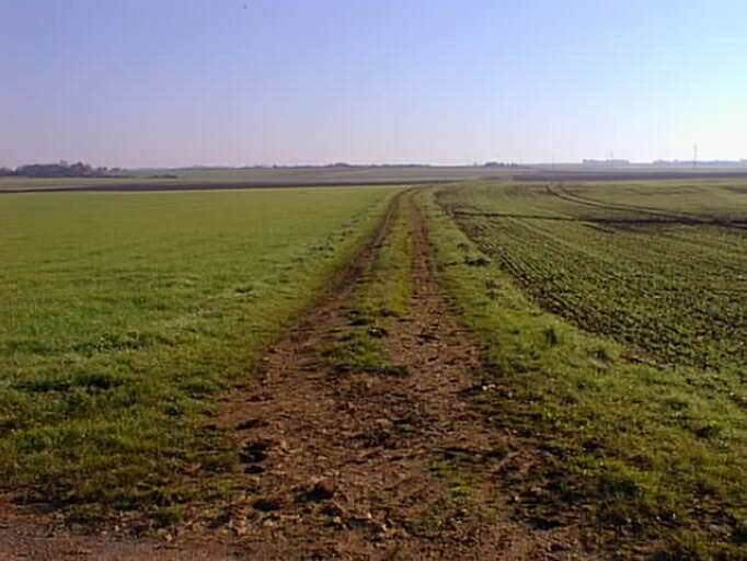 Ancien chemin rochelais faisant la limite sud de la commune.