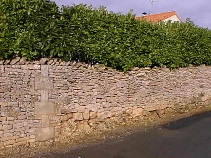 Mur de clôture, vue prise du sud-ouest.