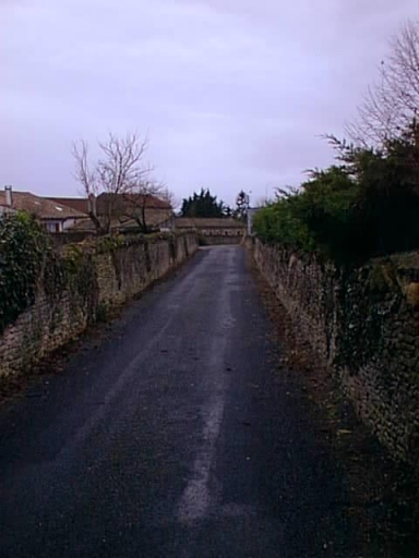 Vue d'un chemin du village bordé de murs.