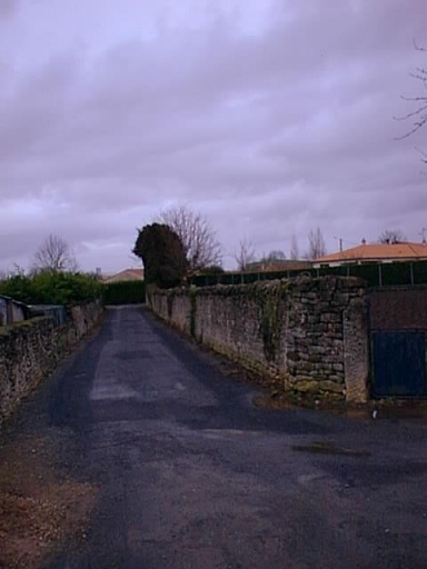 Vue d'un chemin du village bordé de murs, vue prise du sud-ouest vers le nord-est.