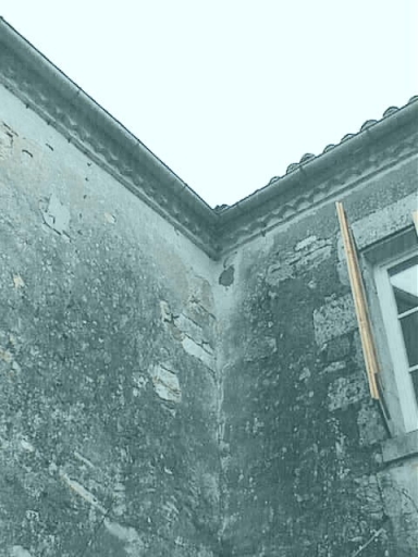 Logis, élévations sud et est sur cour, détail de la génoise.