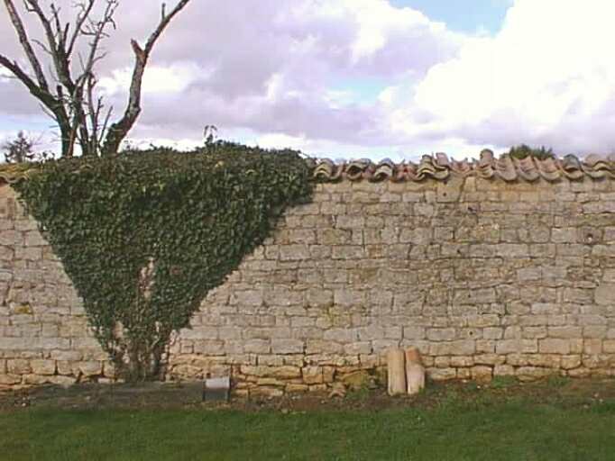 Mur de clôture, détail
