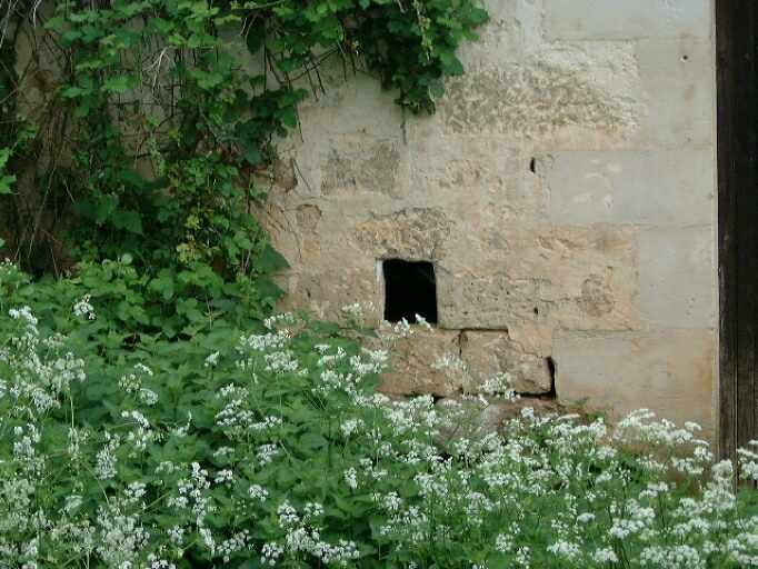 Ancien logis, façade antérieure, détail de la mise en oeuvre des pierres pour aménager une baie au-dessus de la pierre d'évier, vue prise de l'est.