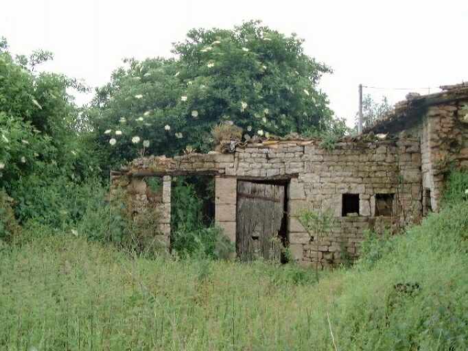 Dépendances en ruines, partie droite, toit et poulailler, élévation antérieure ouest.