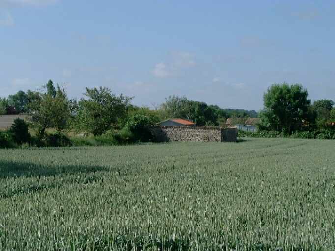 Le Genêt, vue d'un cimetière privé protestant clos de murs, situé au milieu des champs, vue prise du nord-ouest, parcelle 1949 C2 293.