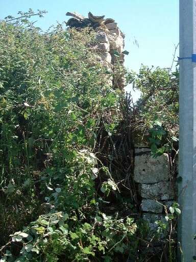 Elévation sud et mur de clôture du champ, détail du collage.