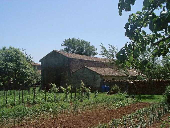 Dépendances des nouveaux logis, hangar et séchoir avec poteaux en bois, élévation postérieure, vue prise du nord-est.