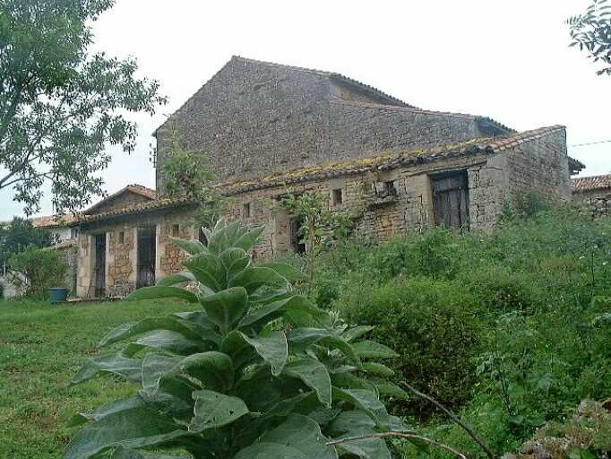 Toits et poulailler, vue prise du sud-est.