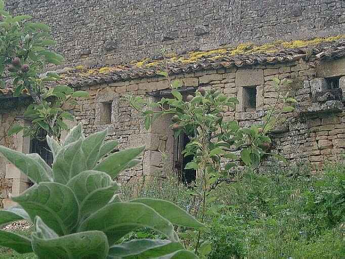 Poulailler, élévation antérieure, vue prise du sud-est.