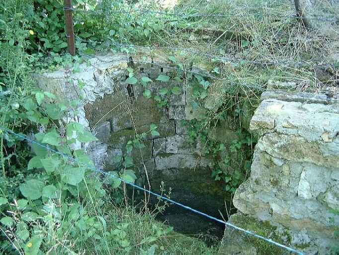 Puits maçonné situé à l'angle sud-ouest de la parcelle.
