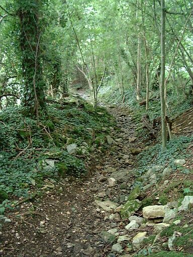 Chemin empierré descendant du lavoir de Six-Chiens vers le petit pont sur le Lambon en allant au village de la Banissière, vue prise de l'est vers l'ouest.