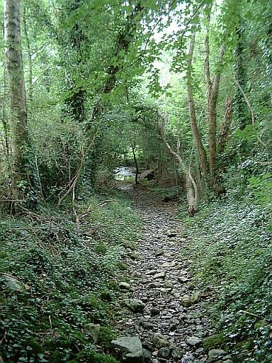 Chemin empierré descendant vers le petit pont sur le Lambon en allant de Six-Chiens au village de la Banissière, vue prise de l'est.