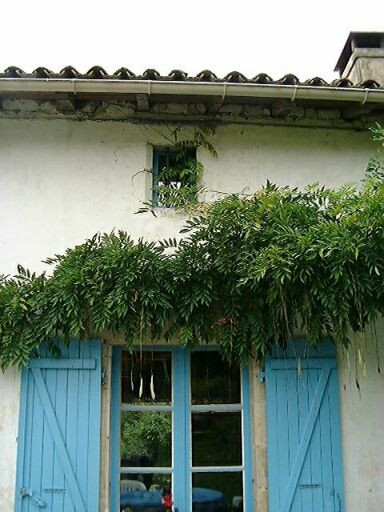 Logis, élévation antérieure, travée centrale, avec baie du comble à chanfrein.