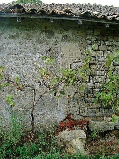 Ancien logis et dépendances dans le bâtiment est-ouest, élévations postérieures, détail du collage de l'agrandissement vers l'est.