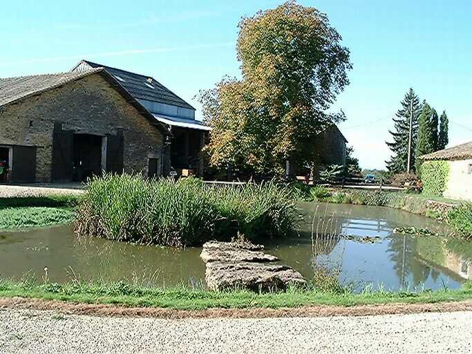 Dépendances, grange, étable, écurie et hangar au sud, vue prise du nord.