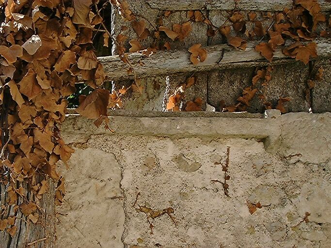 Second logis accolé au logis principal, élévation est, escalier d'accès au grenier, dalle remployée dans l'angle, détail.