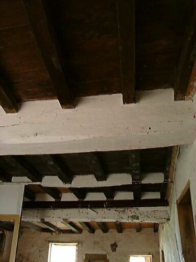 Logis principal, intérieur, rez-de-chaussée, plafond.