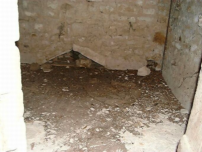 Logis principal, étage, pièce dans l'avant-corps (pigeonnier), détail du mur est.