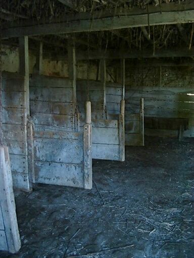 Dépendances, écurie accolée au nord du logis, intérieur, vue des boxes.