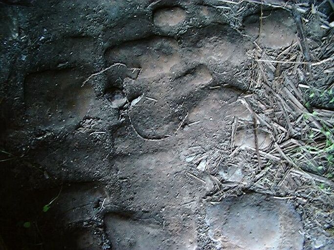 Dépendances, écurie accolée au nord du logis, intérieur, détail du sol pavé.
