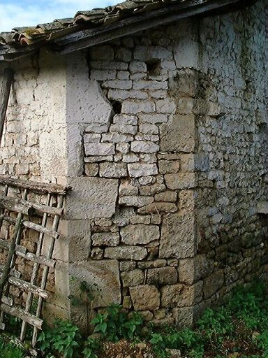 Dépendances, puits et toit à cochon au sud-ouest des logis, détail de l'angle abattu au nord-est.