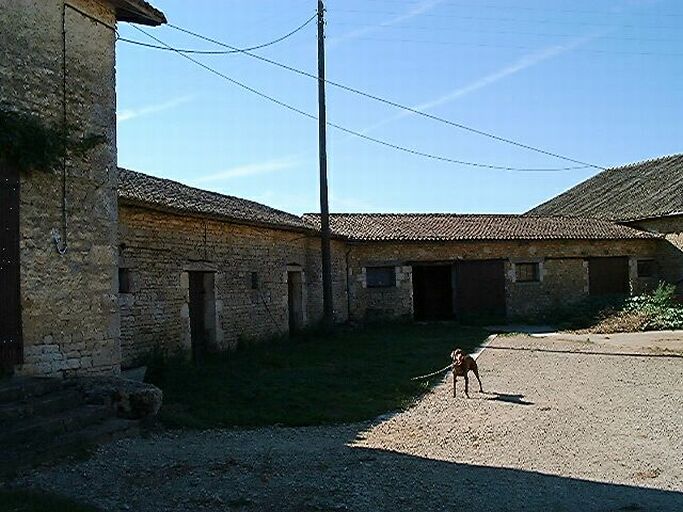 Dépendances, étables construites vers 1949 entre l'ancien logis et la grange-étable, vue prise du nord.
