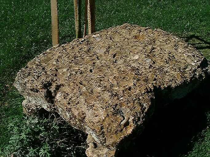 Pierre coquillère posée dans le parterre devant le logis, vue d'ensemble.