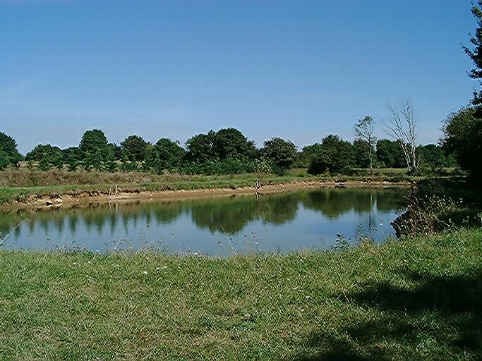 Etang privé dépendant de la grande ferme de Mortaigre.