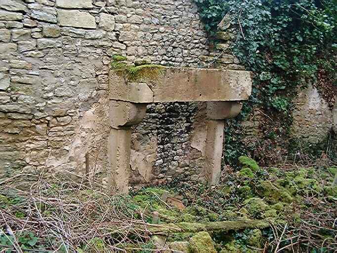 Ancien logis en ruines, élévation est, vue d'une cheminée.