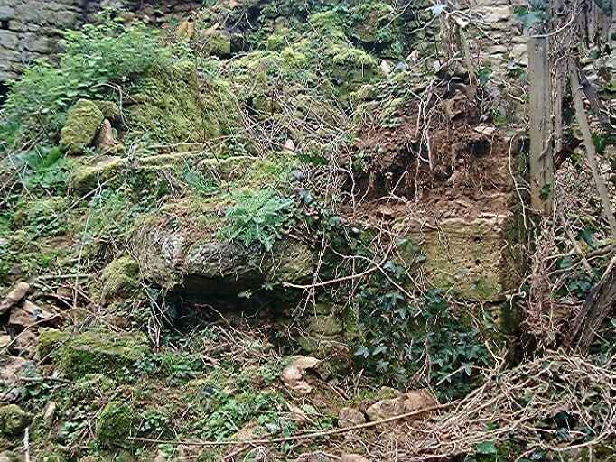 Ancien logis en ruines, élévation est, vestiges d'une pierre d'évier.
