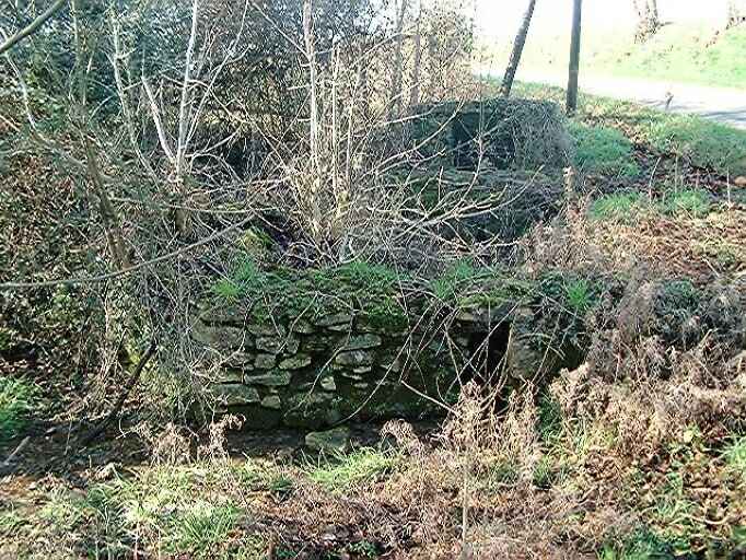 Vue des vestiges du lavoir de la Guitonnerie prise de l'est.