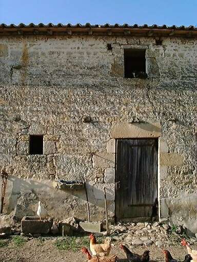 Dépendances, écuries et logement d'ouvrier agricole, élévation antérieure sur cour, détail de la dernière travée.