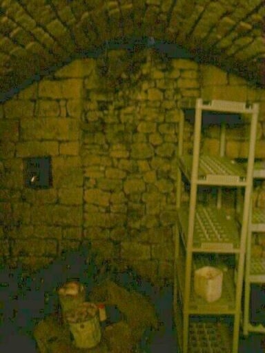 Logis, partie nord, cave voûtée, vue vers le fond dont une partie (passage ?) a été murée.