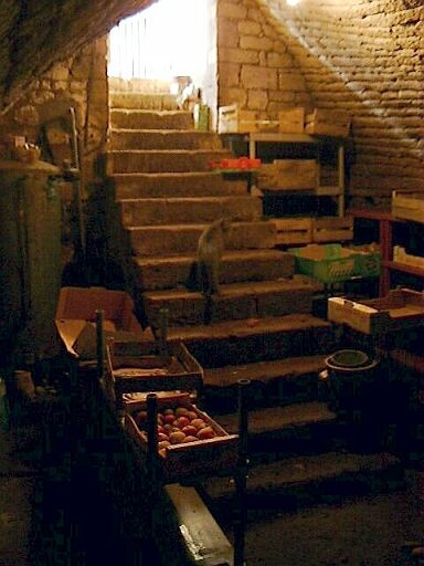 Logis, partie nord, cave voûtée, vue vers l'entrée et l'escalier droit en pierre.