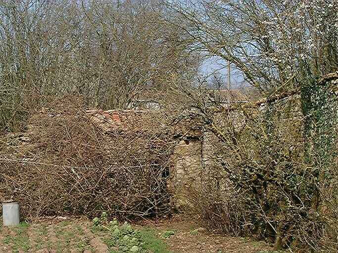 Communs, commodités dans l'angle nord-est du jardin est, vue prise du sud.