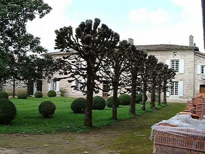 Cour intérieure, vue prise depuis l'angle sud-est vers le logis.