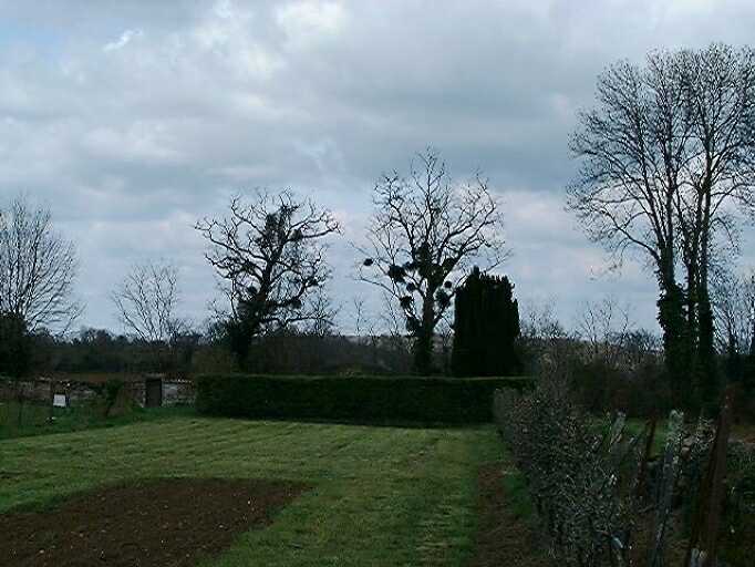 Cimetière privé protestant des familles Mougon et Marché, figué sur le plan cadastral 1975 AS 39, vue prise du sud.