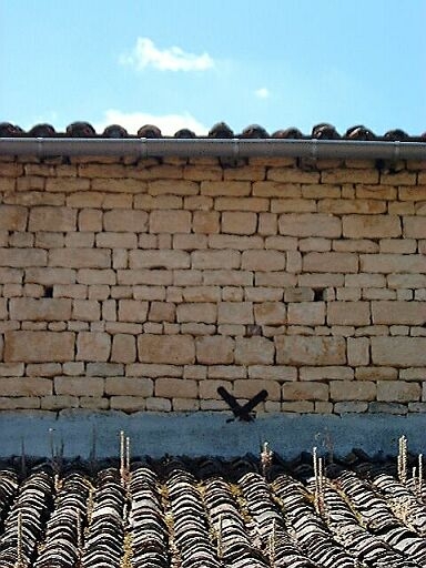 Logis, élévation postérieure, détail de la mise en oeuvre des moellons.