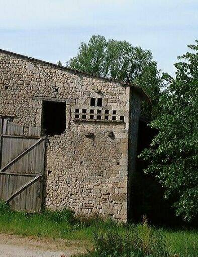 Grange dont la façade en pignon est pourvue d'une quinzaine de trous de boulins de pigeonnier, détail.