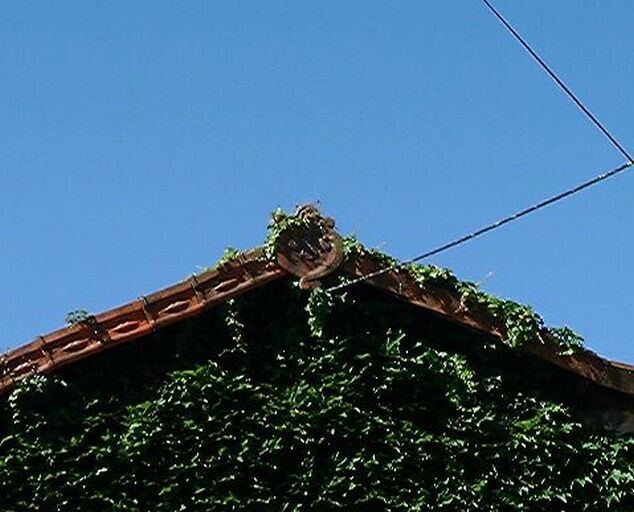 Logis, élévation latérale gauche, détail du pignon couvert.