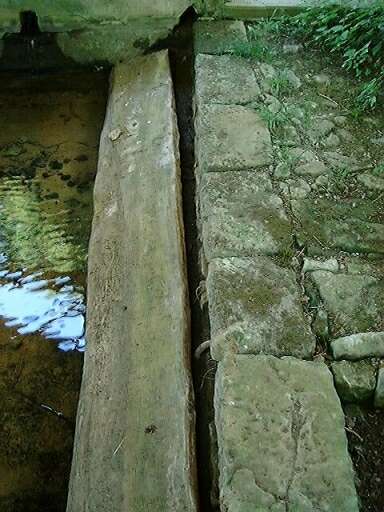 Détail de la planche à laver (pratiquée dans un arbre) sur toute la longueur du bassin.